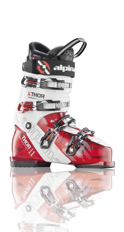 Alpina X Thor  11